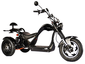 Электротрицикл SKYBOARD Elbrus Chopper-4000 Harrow