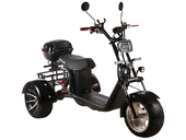 Электротрицикл SKYBOARD TRIKE BR60-3000 PRO - Фото 0