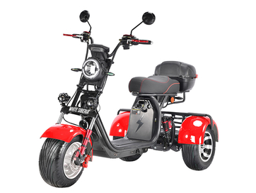 Электротрицикл White Siberia PRO TRIKE 3000W