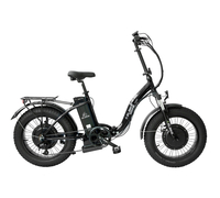 Elbike TAIGA 1 Twix