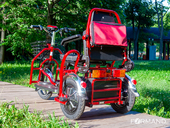 Электротрицикл Elbike Адъютант Double A3 - Фото 4