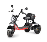 WHITE SIBERIA TRIKE MINI 1500W